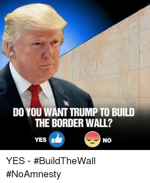DO YOU WANT TRUMP TO BUILD THE BORDER WALL? YESI NO YES