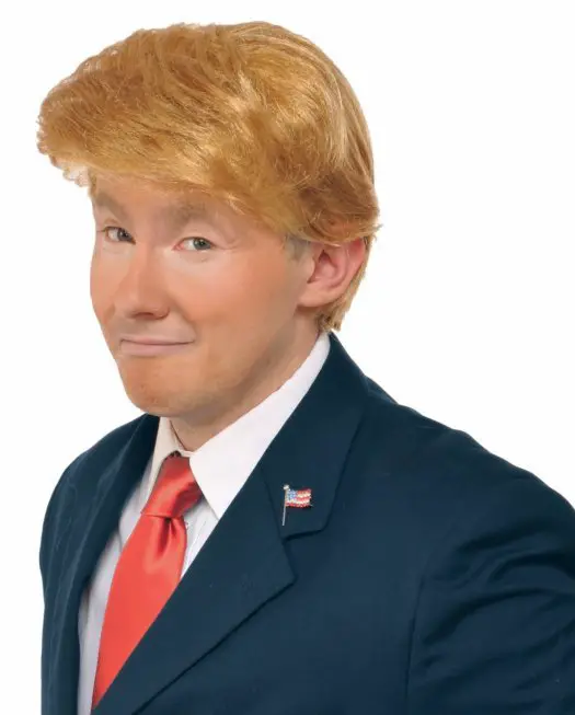 Donald Trump Wig Adult Costume Accessory Billionaire Hair ...
