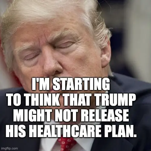 Donald TrumpPonders Over New Healthcare Plan 2024!