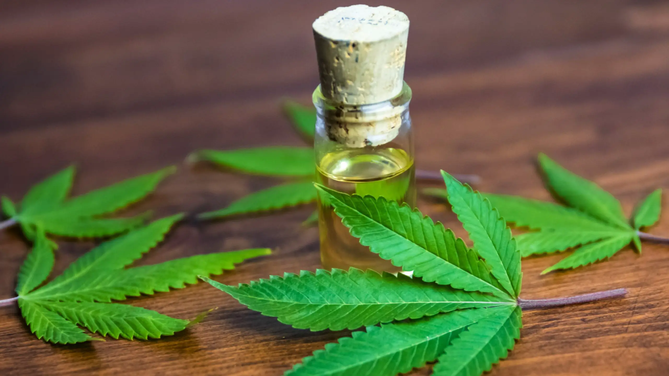 Feds continue to refuse to make CBD legal without explicit FDA approval ...