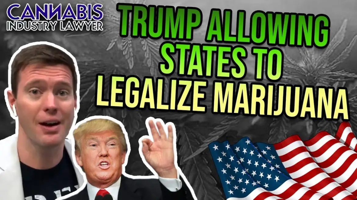 Trump Allowing States to Legalize Marijuana  Weed legal