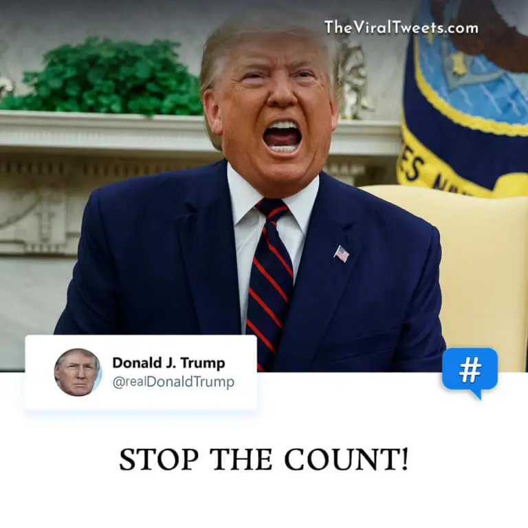 US Election 2020: Best Tweets On Donald Trump Stop The Count ...